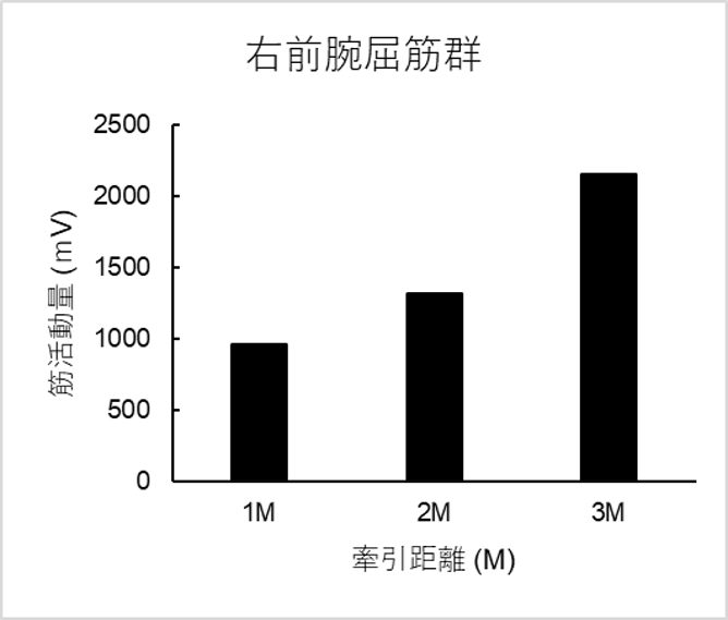 1セットの総合筋放電量・右前腕屈筋群